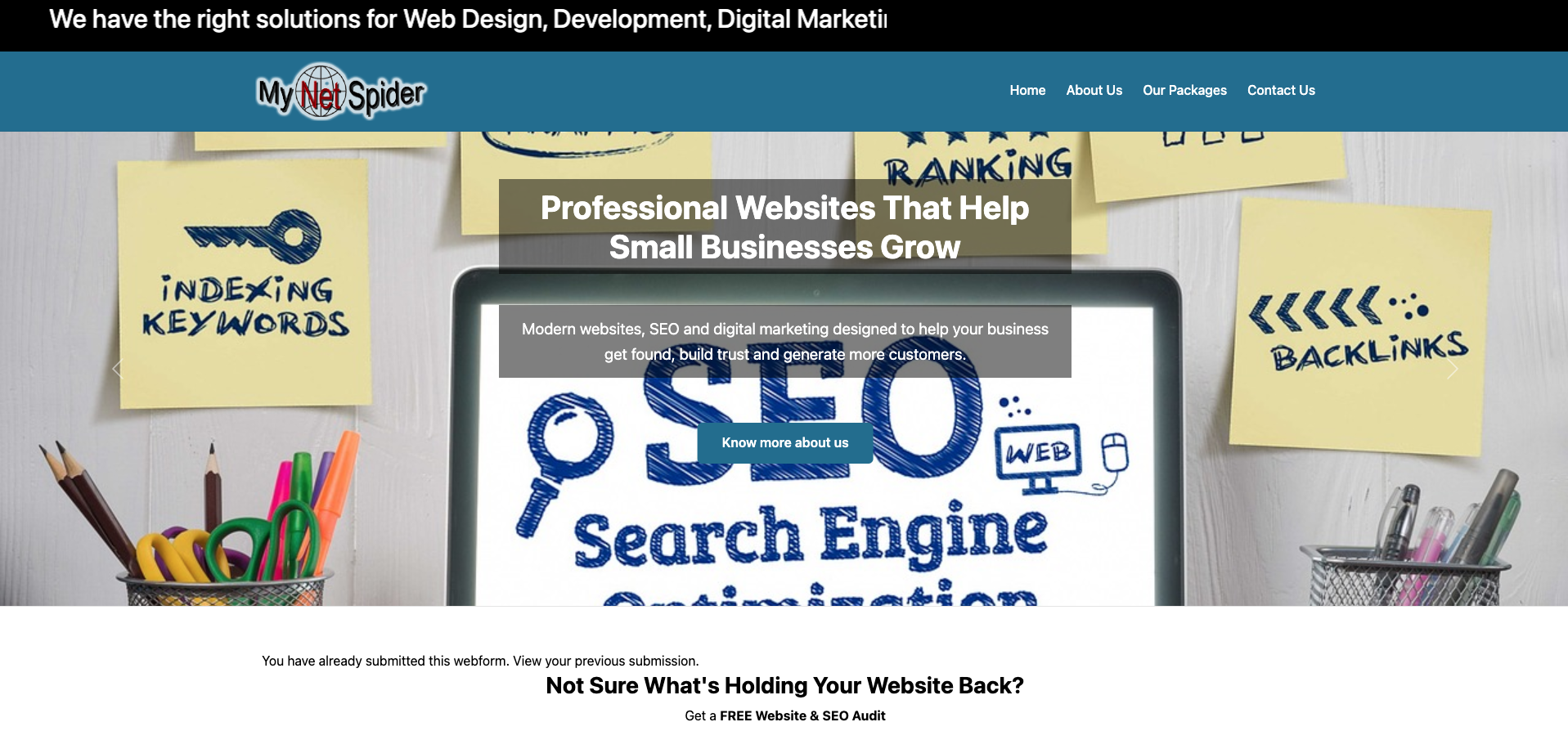 My Net Spider website