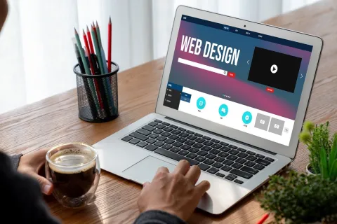 Professional web design and development
